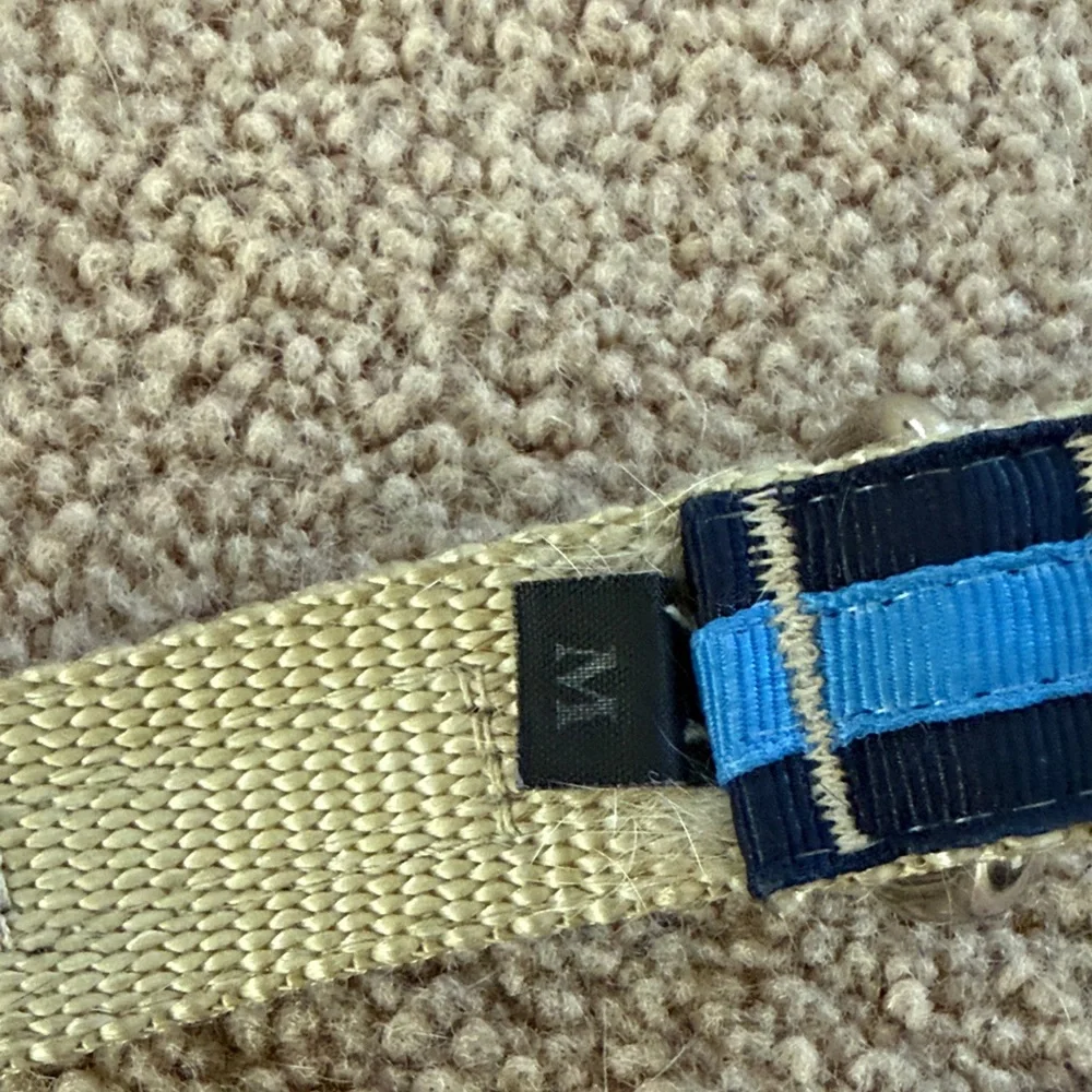 Two-Tone Blue Adjustable Dog Collar
